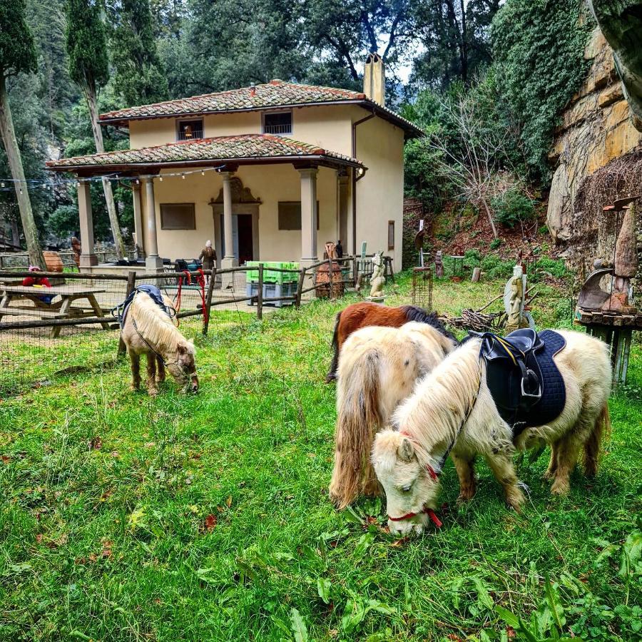 Agriturismo Fattoria Di Maiano Ф'єзоле Екстер'єр фото